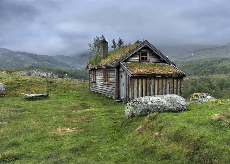 grass-roofs-scandinavia-norvec