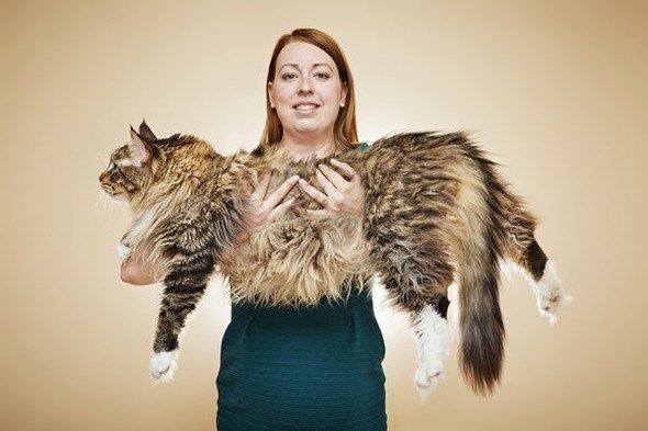 en uzun kedi rekor
